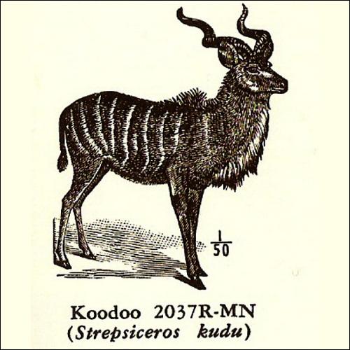 religion, anarchy, fauna.