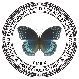 The Virginia Tech Insect Collection, founded in 1888, is the oldest and largest entomological collection in the Commonwealth.