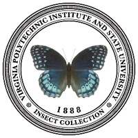 VT Insect Collection (@vtbugcollection) 's Twitter Profile Photo VT Insect Collection (@vtbugcollection) 's Twitter Profile Photo