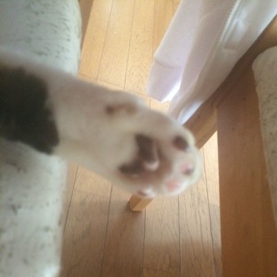 なんかもう、意味わからなーい。