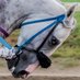 Social Distancing Pro (@maltaprophoto1) Twitter profile photo Social Distancing Pro (@maltaprophoto1) Twitter profile photo