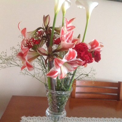 GaivizoCarmen's profile picture. 