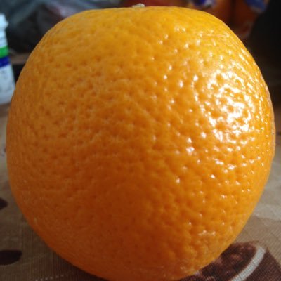 quiztime456's profile picture. hell me