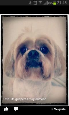 Crismarinera74's profile picture. 