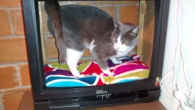 juanafi13554843's profile picture. 