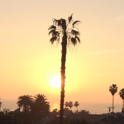 TFlem9's profile picture. 