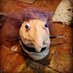 Holly Miller (@perkispuppet) Twitter profile photo Holly Miller (@perkispuppet) Twitter profile photo