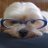 nari283's profile image
