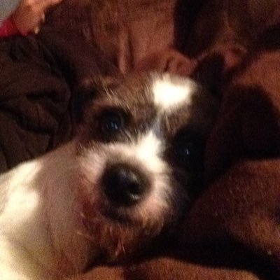 KyraKyraberry's profile picture. I love swimming pls follow!!!! PNI #CCEmpire