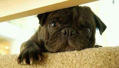 rommelorjalo's profile picture. |•|heart break girl|•|MAROON V|•|THE CAB|•|5SOS|•|ROMMEL L. ORJALO JR.|•|TSHS|•|GAUSS|•|DARWIN|•|MENDELEEV|•| .rommeljr.o@facebook.com|•|Jet blackheart|•|