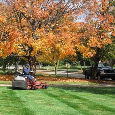 Property maintenance
-Lawn Care
-Tree Services
-Garden Maintenance
-Eavestrough Cleaning
-Fall Clean Up
-Landscaping Odd Jobs
Many other services :)