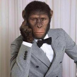 zhnb1109's profile picture. 