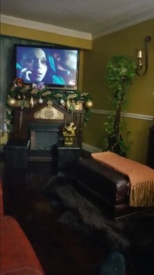 vectruminc's profile picture. 