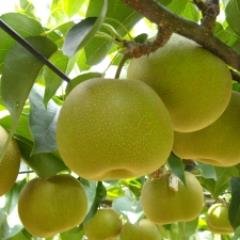 千葉県市川市のローカルネタを扱う地域情報サイト「市川にゅ~す」の公式Twitterです。リアルな新聞では扱わない地元ネタを独自の視線でお届けします。
2021年より市川市観光協会特別PR担当
#市川市
