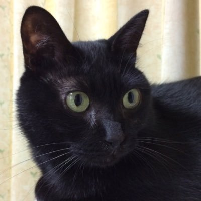 くのぼんmikazukiさんのプロフィール画像