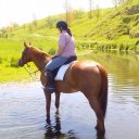 Amanda Large - @gizzlebizzle123 - Twitter