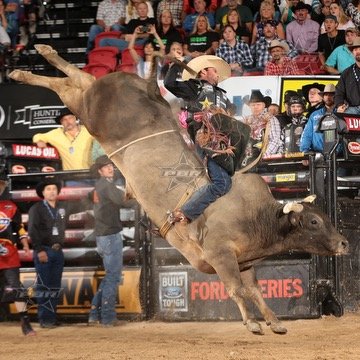 PBR Stock Contractor. Bucking Bulls of the year SweetPro's Bruiser, SweetPro's Long John, Mossy Oak Mudslinger, PBR & PRCA bull of Year S.H.Tested