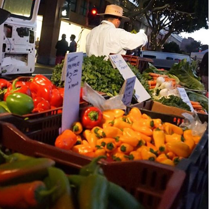 Searching for the best eats in the lovely San Luis Obispo, CA
Send suggestions my way!