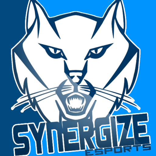 Synergize Esports Is a Fresh Started CSGO Team Looking to get into Online events And become one of the Best Teams at Online Events