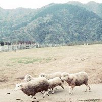 móe (@moe_records) 's Twitter Profile