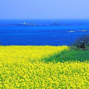 제주도의 날씨를 전해 드리는 봇입니다. 봇이긴 해도 가끔 들어와서 봅니다. 저는 지금 폭신폭신한 클라우드 컴퓨팅 환경(Windows Azure™)에서 살고 있습니다. HugeFlow® 만세!