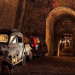 GalleriaBorbon's profile picture. 