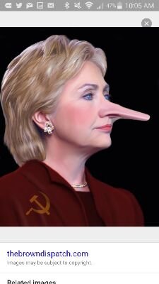 HillarysLie's profile picture. Lie #1 - I do solemnly that I will tell the truth, the whole truth, and nothing but the truth.