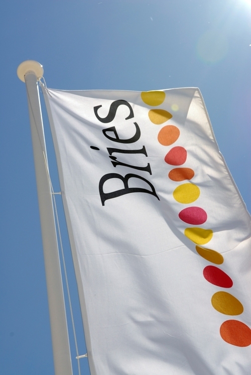 Bries is een onder architectuur ontworpen eigentijdse duurzame en stijlvolle beachclub die gastvrijheid uitstraalt met een internationaal karakter.