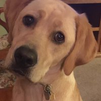 Rick Dunn (@rdunn5) 's Twitter Profile