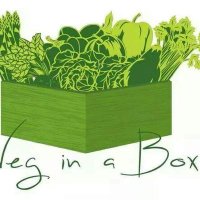 Bela & julie (@vegboxexeter) Twitter profile photo