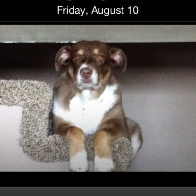 mike_nordahl's profile picture. Retired Federal Service/Military