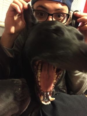 chris141414's profile picture. I have 3 lamps atm