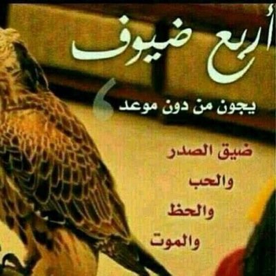  لِنَا حَيَاةٌ بِدَاخِلِنَا
تَخْتَلِفُ تَمَامًا عَنْ الحَيَاةِ الَّتِي يَرَانَا فِيهَا الأخرون ..!♡
احساسمشاعر