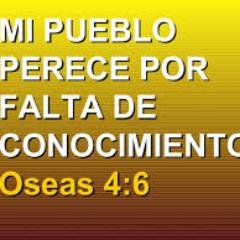 IGLESIA EVANGELICA TRINITARIA GENESIS INTERNACIONAL