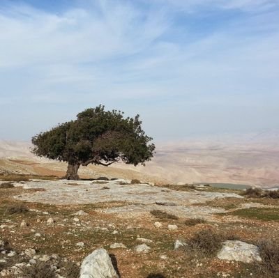 יהודי🕎,ישראלי✡️, ימני, ללא מפלגה.🇮🇱חקלאי מגדל תמרים🌴 וענבים🍇.
חוסם את מי שלא יודע להשיב מבלי לרדת לביוב.🛑