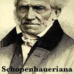 Twitter oficial de la Sociedad de Estudios en Español sobre Schopenhauer (SEES)