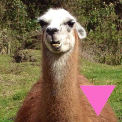 jeaauio's profile picture. https://t.co/yuoxjQmYSo