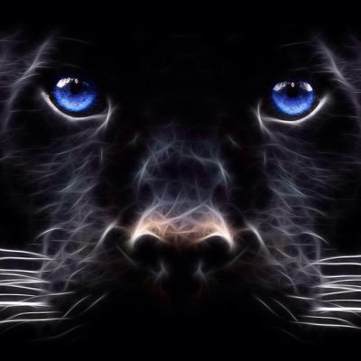 JimInglis3's profile picture. 