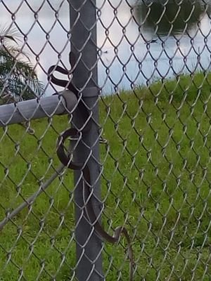 AliMeg2005's profile picture. 