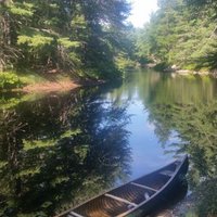 Rick Gant (@canoekeji) 's Twitter Profile