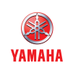 YMVSV (@_ymvsv) Twitter profile photo YMVSV (@_ymvsv) Twitter profile photo
