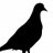 Mac_Blocks's profile image