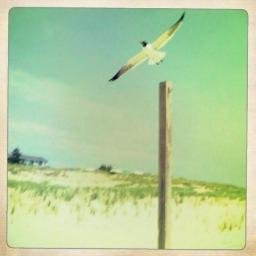 KristyCaster's profile picture. 