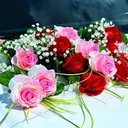 محمد (@09BH1WgAIF9WISY) Twitter