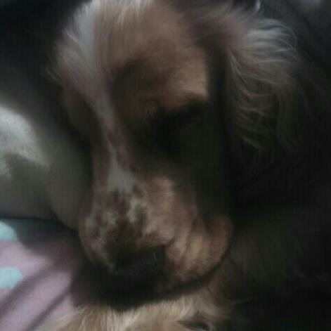 chloelolo119's profile picture. 