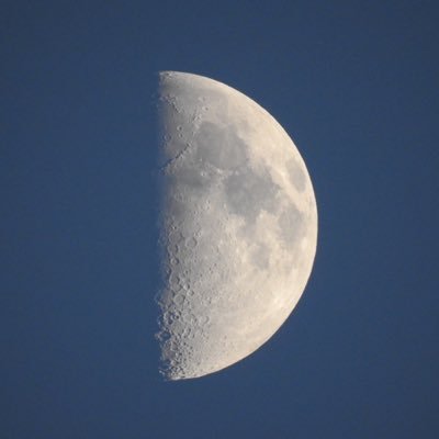 nanaimofish's profile picture. downtown NANAIMO,