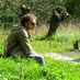 Michael de Vries - Natuurvideo's (@mdevriesnature) Twitter profile photo Michael de Vries - Natuurvideo's (@mdevriesnature) Twitter profile photo