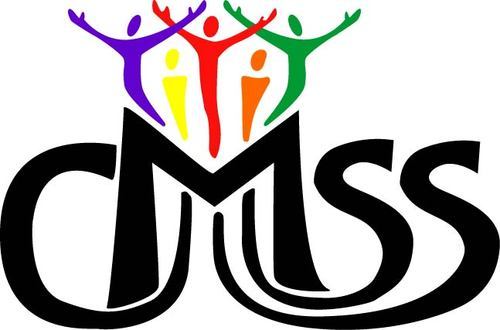 CMSS_JMU's profile picture. 