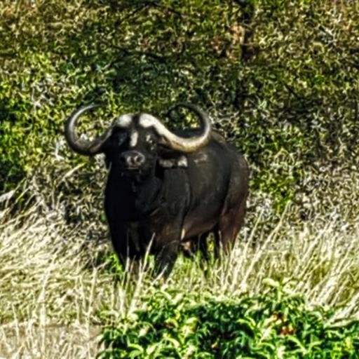 sleutelfontein's profile picture. 