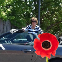Jo Cottrell (@jocottrell1) 's Twitter Profile